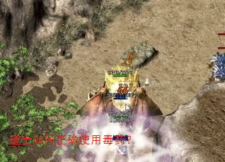 道士如何正确使用毒药? 道士如何正确使用毒药?