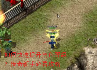 如何快速提升角色等级?传奇新手必看攻略 如何快速提升角色等级?传奇新手必看攻略