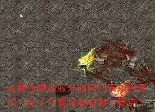 ���´���˽������ʱ�����β�ѯ�����ֿ��Ĺ�������ЩҪ�㣿