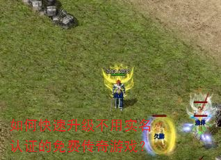 如何快速升级不用实名认证的免费传奇游戏? 如何快速升级不用实名认证的免费传奇游戏?