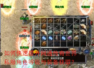 如何快速提升网通传奇世界私服角色等级与装备获取? 如何快速提升网通传奇世界私服角色等级与装备获取?