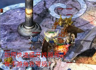 如何快速提升找服传奇手游角色等级? 如何快速提升找服传奇手游角色等级?