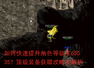 如何快速提升角色等级至65535?顶级装备获取攻略全解析 如何快速提升角色等级至65535?顶级装备获取攻略全解析