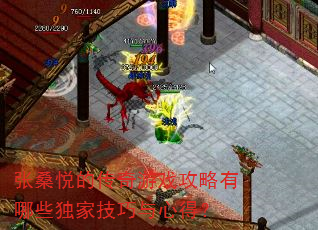 张桑悦的传奇游戏攻略有哪些独家技巧与心得? 张桑悦的传奇游戏攻略有哪些独家技巧与心得?