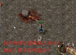 自开传奇手游需投入多少资金?新手如何起步? 自开传奇手游需投入多少资金?新手如何起步?