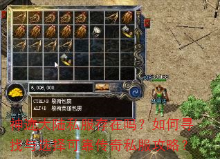 神迹大陆私服存在吗?如何寻找与选择可靠传奇私服攻略? 神迹大陆私服存在吗?如何寻找与选择可靠传奇私服攻略?