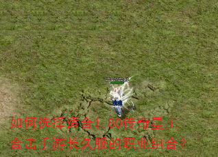 如何选择适合1.80传奇星王合击手游长久服的职业组合? 如何选择适合1.80传奇星王合击手游长久服的职业组合?