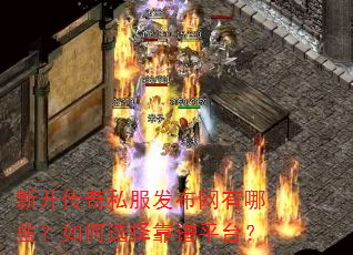 新开传奇私服发布网有哪些?如何选择靠谱平台? 新开传奇私服发布网有哪些?如何选择靠谱平台?