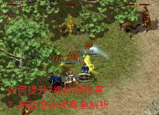 如何提升7级骷髅伤害?高效培养攻略全解析 如何提升7级骷髅伤害?高效培养攻略全解析