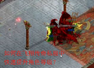 如何在飞翔传奇私服中快速提升角色等级? 如何在飞翔传奇私服中快速提升角色等级?