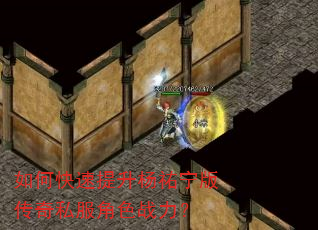 如何快速提升杨祐宁版传奇私服角色战力? 如何快速提升杨祐宁版传奇私服角色战力?