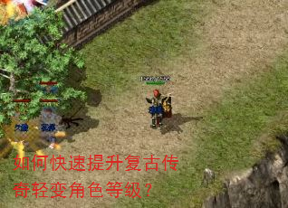 如何快速提升复古传奇轻变角色等级? 如何快速提升复古传奇轻变角色等级?