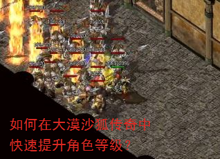 如何在大漠沙狐传奇中快速提升角色等级? 如何在大漠沙狐传奇中快速提升角色等级?
