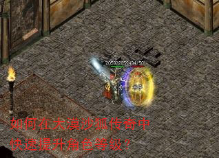 如何在大漠沙狐传奇中快速提升角色等级? 如何在大漠沙狐传奇中快速提升角色等级?