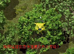如何通过饮酒快速提升内功等级? 如何通过饮酒快速提升内功等级?