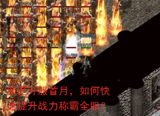 新区开服首月,如何快速提升战力称霸全服? 新区开服首月,如何快速提升战力称霸全服?