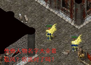 �����������ִ�ȫ�����磿��ѡ������