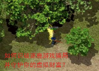 如何识破逐鹿游戏骗局并守护你的虚拟财富? 如何识破逐鹿游戏骗局并守护你的虚拟财富?