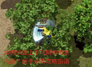 ��ο������ַ��贫�渴�Ű棿���ֱؿ�����ָ��