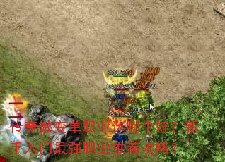 传奇微变单职业选哪个好?新手入门最强职业推荐攻略? 传奇微变单职业选哪个好?新手入门最强职业推荐攻略?