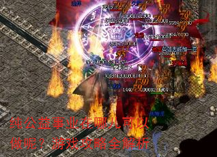 纯公益事业在哪儿可以做呢?游戏攻略全解析 纯公益事业在哪儿可以做呢?游戏攻略全解析