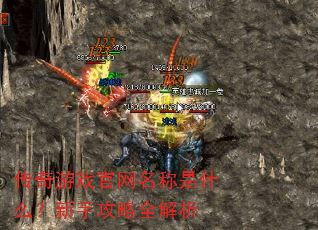 传奇游戏官网名称是什么?新手攻略全解析 传奇游戏官网名称是什么?新手攻略全解析