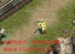 热血传奇中,哪种服务器最适合新手玩家快速上手? 热血传奇中,哪种服务器最适合新手玩家快速上手?