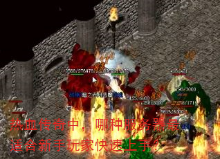 热血传奇中,哪种服务器最适合新手玩家快速上手? 热血传奇中,哪种服务器最适合新手玩家快速上手?