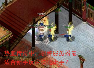 热血传奇中,哪种服务器最适合新手玩家快速上手? 热血传奇中,哪种服务器最适合新手玩家快速上手?