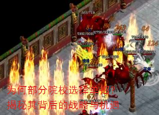 为何部分院校选择单招?揭秘其背后的战略与机遇 为何部分院校选择单招?揭秘其背后的战略与机遇