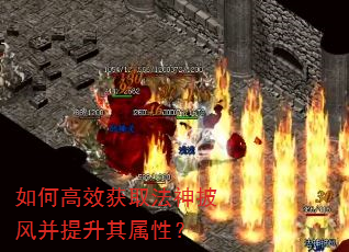 ��θ�Ч��ȡ�������粢���������ԣ�