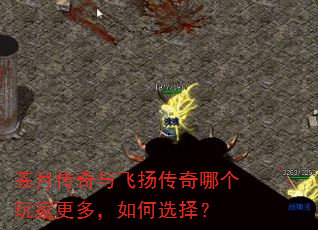 苍月传奇与飞扬传奇哪个玩家更多,如何选择? 苍月传奇与飞扬传奇哪个玩家更多,如何选择?