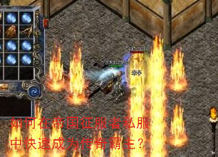 ����ڵ۹�������˽���п��ٳ�Ϊ���������